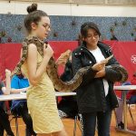 Two students giving a presentation on reptiles.